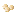 Candlenut