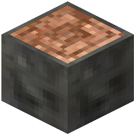 Cashew Log