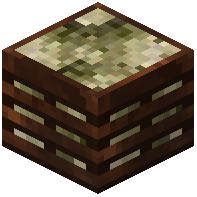 Crate of Cempedak