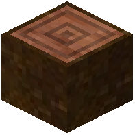 Cempedak Log