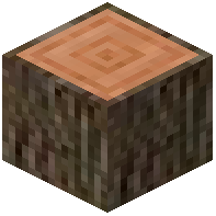 Copper Beech Log