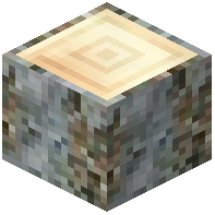 Elderberry Log