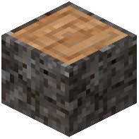 European Larch Log