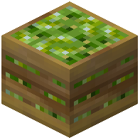 Crate of Finger Limes