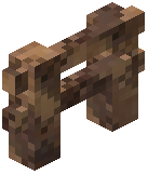 Grandidiers Baobab Fence