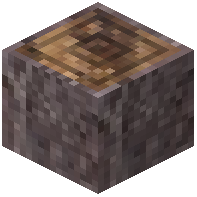 Grandidiers Baobab Log