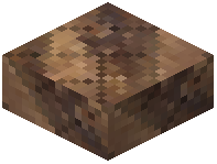 Grandidiers Baobab Slab