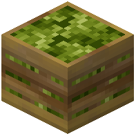 Crate of Jackfruits