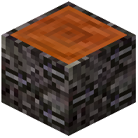 Logwood Log