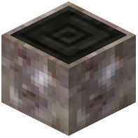 Myrtle Ebony Log