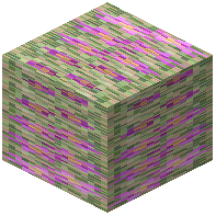 Night Fuchsia Planks