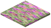 Night Fuchsia Pressure Plate