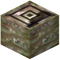 Pandanus Log