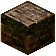 Persimmon Log