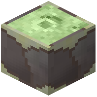 Plantain Log
