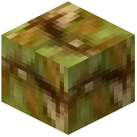 Salak Wood