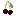 Sour Cherry