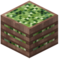Crate of Soursops