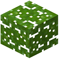 Wenge Leaves