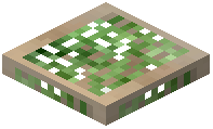 Western Hemlock Trapdoor