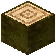 Yellow Meranti Log