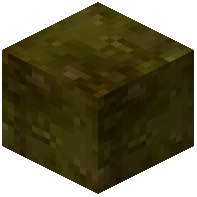 Yellow Meranti Wood