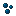 Cooked Blueberries