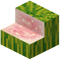 Unripe Melon Stairs