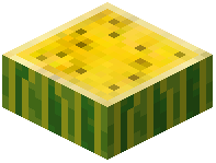 Yellow Fleshed Melon Slabs