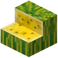 Yellow Fleshed Melon Stairs