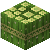Cactus Batch