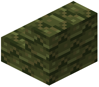 Green Terracotta Shingle Stairs