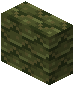 Green Terracotta Shingle Vertical Slab