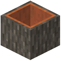 Hollow Acacia Log