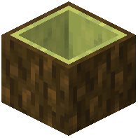 Hollow Azalea Log