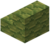 Lime Terracotta Shingle Stairs