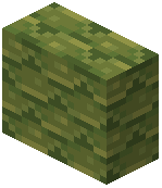 Lime Terracotta Shingle Vertical Slab