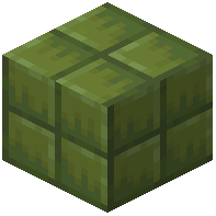 Midori Block