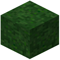 Moss