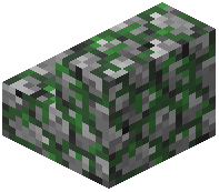 Mossy Stone Stairs