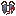Elytrat