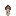Matsutake