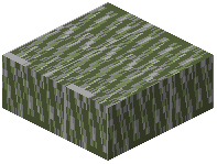 Weathered Mossy Cobblestone Slab
