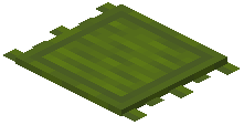 Green Rug