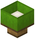 Lime Lamp