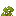 Acacia Shrub
