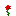 alpha_rose