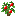 Apple Oak Sapling