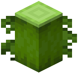Bamboo Log
