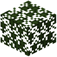 Blackwood Leaves